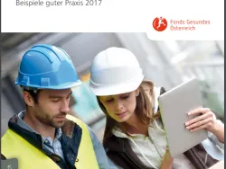 titelblatt broschuere betriebliche gesundheitsfoerderung