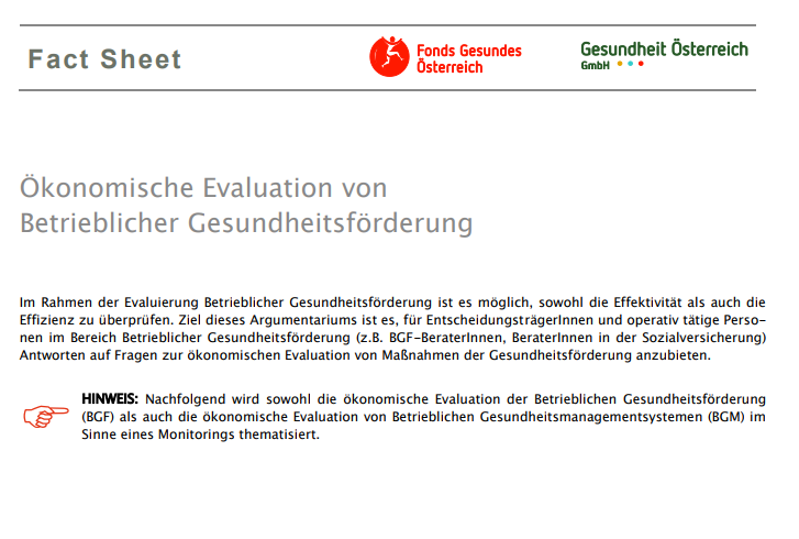 titelblatt oekonomische evaluation bgf