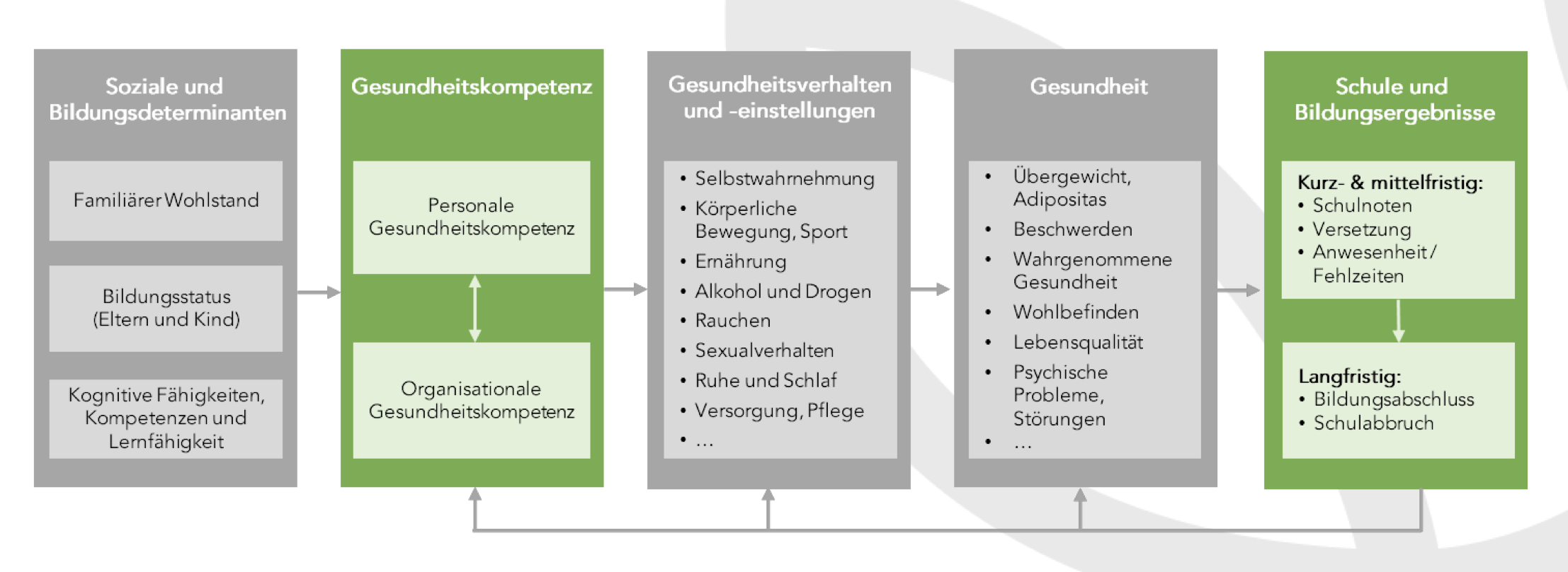 Schools for Health in Europe Network Foundation