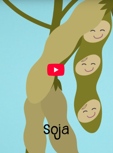 Ausschnitt des Videos Soja