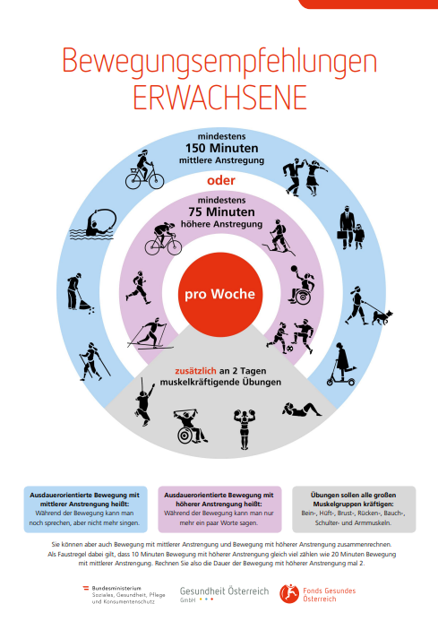 Plakat der Bewegungsempfehlungen für Erwachsene