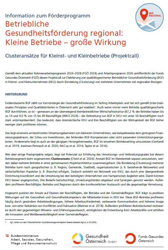 Titelblatt des Factsheets des Projektcalls "Clusteransätze für Kleinst- und Kleinbetriebe (Projektcall)"