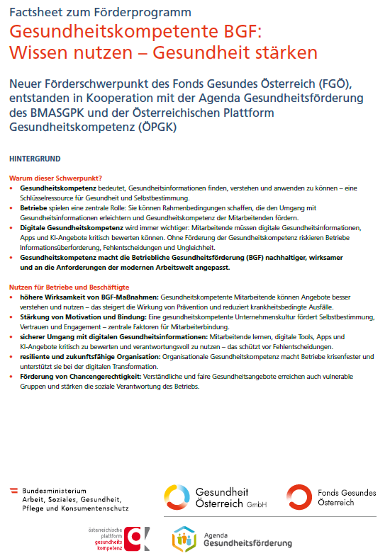 Titelblatt des Factsheet zum Förderprogramm Gesundheitskompetente BGF: Wissen nutzen – Gesundheit stärken (Kurzversion)