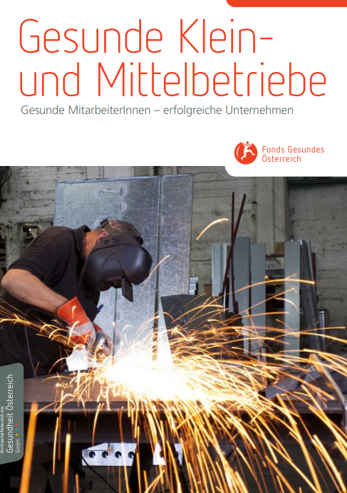 Titelblatt der Broschüre Gesunde Klein- und Mittelbetriebe