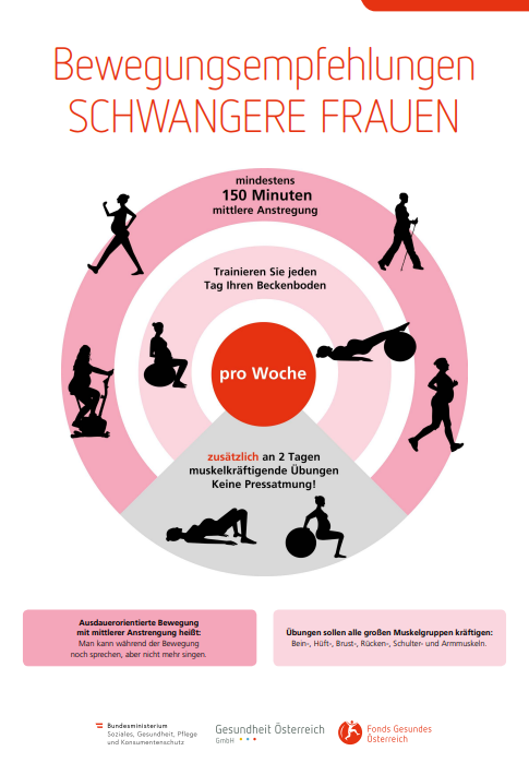 Plakat Bewegungsempfehlungen schwangere Frauen