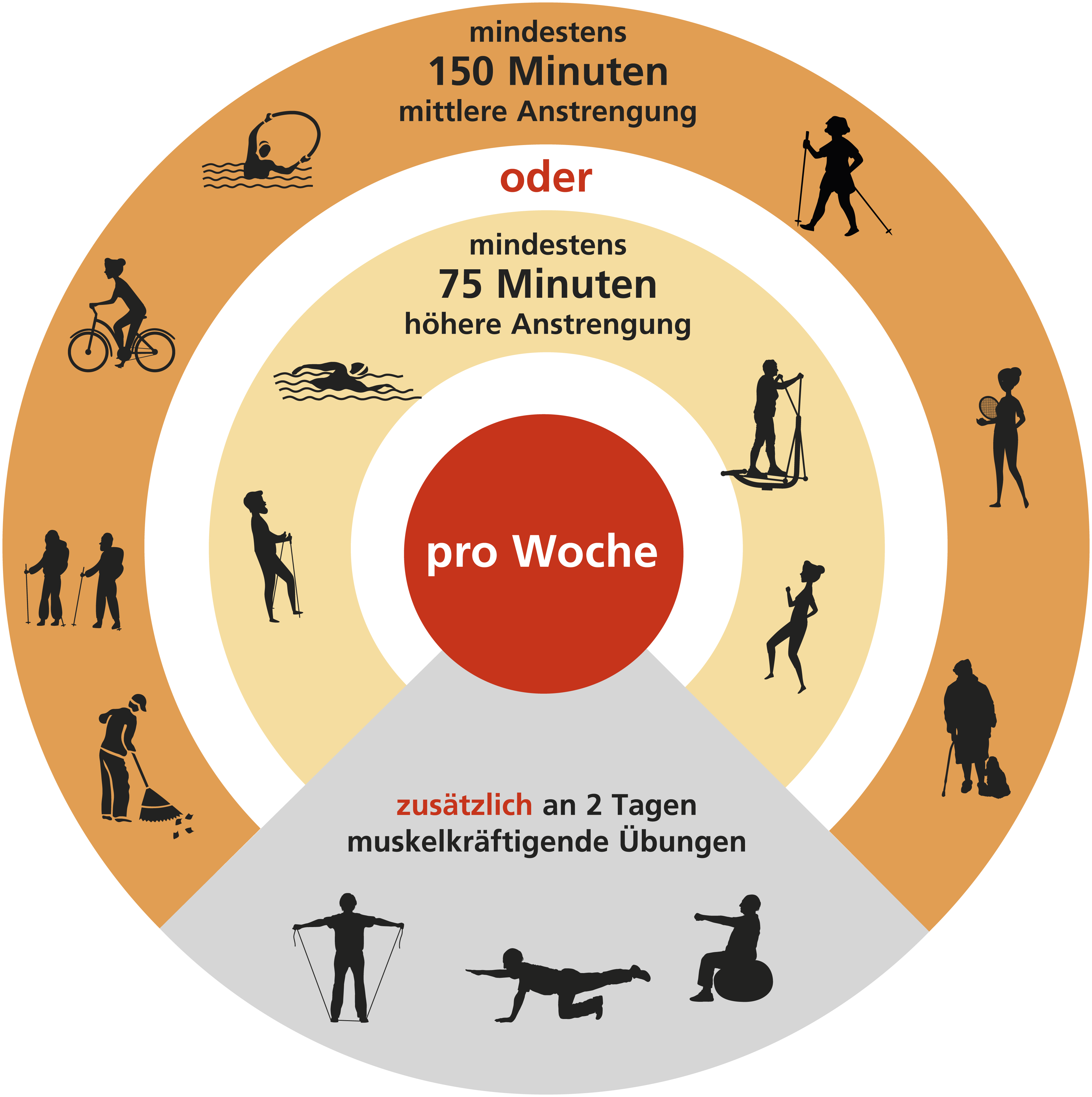 Grafik der Bewegungsempfehlungen - barrierefreie Beschreibung im Text des Artikels