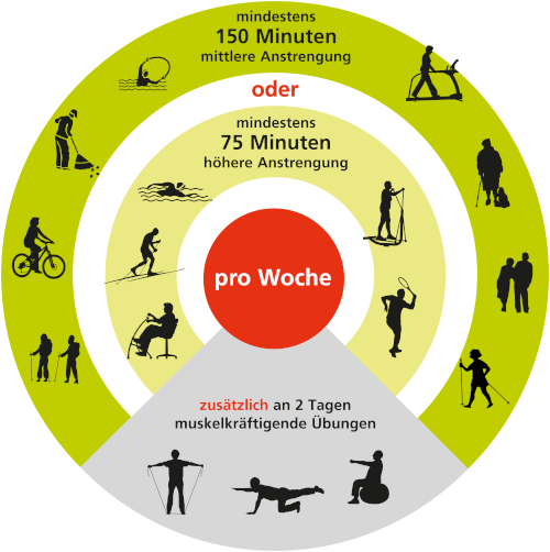 Grafik der Bewegungsempfehlungen für Erwachsene ab 65 Jahren - Barrierefreie Beschreibung im Artikel