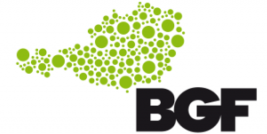 Logo BGF Netzwerk