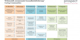 Grafik des Wirkmodells