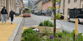 Verkehrsberuhigte Straße