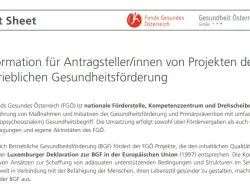 titelblatt BGF