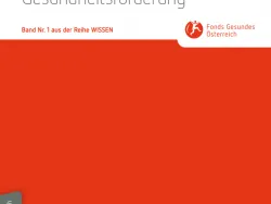 Titelblatt: Ökonomische Evaluation von BGF