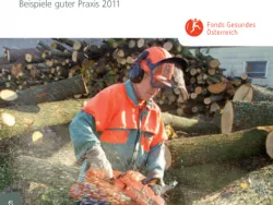 Titelblatt der Broschüre Betriebliche Gesundheitsförderung in Österreich - Beispiele guter Praxis 2011 - Forstarbeiter mit Kettensäge