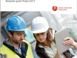 Titel Broschüre BGF - Beispiele guter Praxis 2017 © goodluz / stock.adobe.com