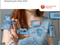 Titel Broschüre BGF - Beispiele guter Praxis 2020 © vegefox.com / stock.adobe.com