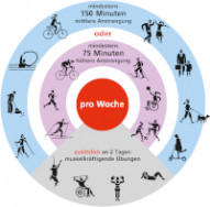 Grafik der Bewegungsempfehlungen für Erwachsene