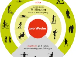 Bewegungsempfehlungen für Erwachsene ab 65 Jahren