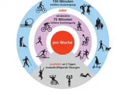 Screenshot des Plakats