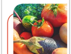 Titelblatt Ernährungsfolder