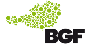 Logo BGF Netzwerk