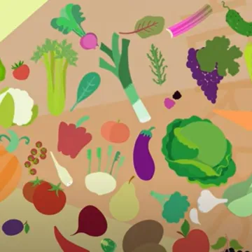 Screenshot des Videos