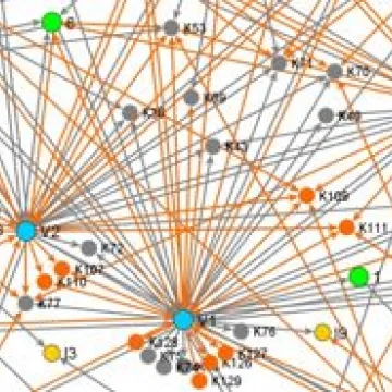 © Gesundheit Österreich GmbH Grafische Darstellung von Netzwerken