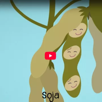 © Gesundheit Österreich GmbH Ausschnitt des Startbildes des Videos