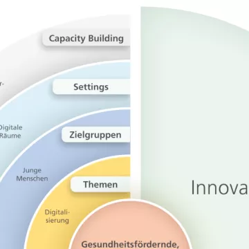 Ausschnitt der Grafik mit den Schwerpunkten des FGÖ