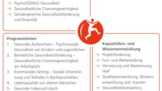 Grafische Darstellung der Leitthemen, Programmlinien und Maßnahmen zur Kapazitäten- und Wissensentwicklung