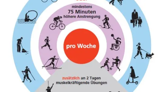 Ausschnitt der Bewegungsempfehlungen für Erwachsene