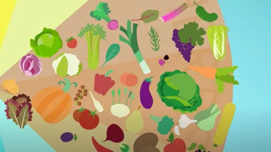 Screenshot des Videos