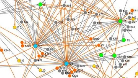 Grafische Darstellung von Netzwerken