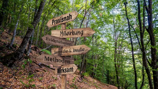 Wegweiser mit Begriffen aus der Gesundheitsförderung