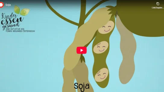 Ausschnitt des Startbildes des Videos